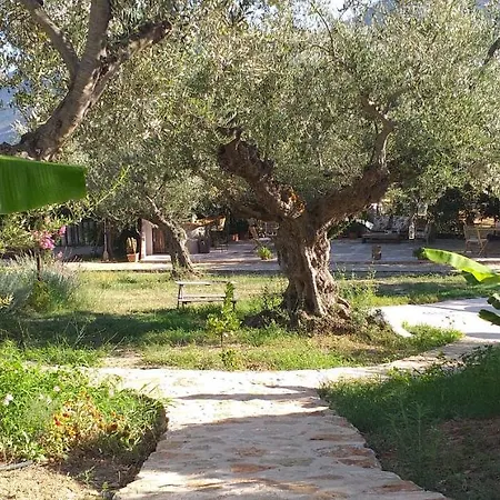 Kavoulakos