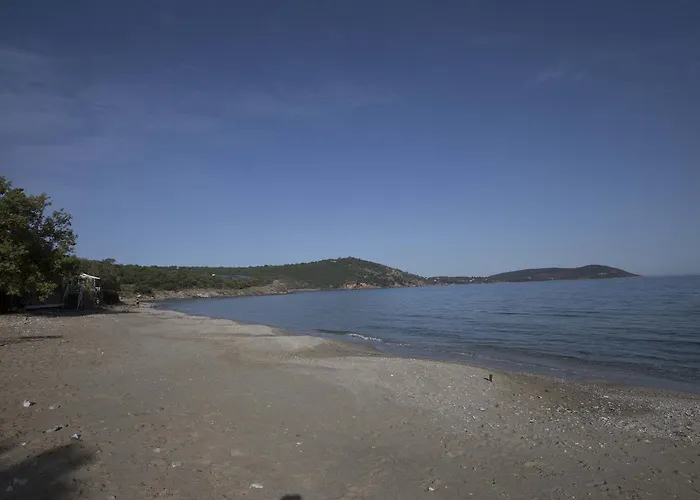 Kavoulakos Skoutarion