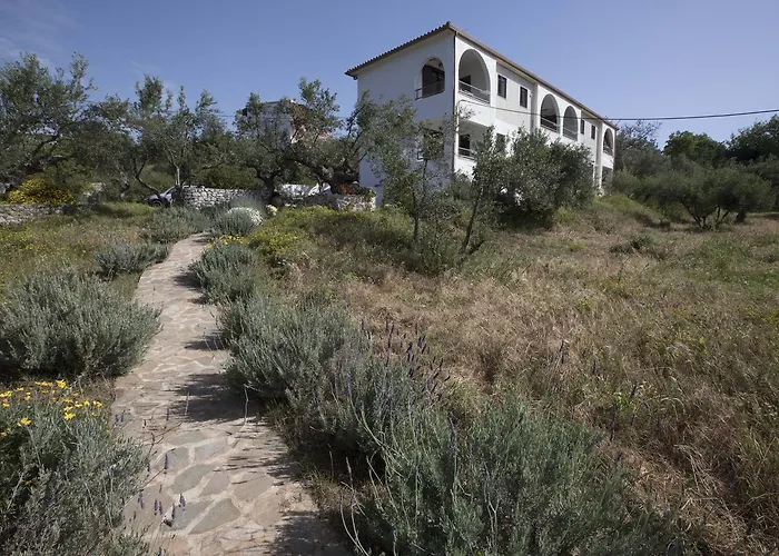 Kavoulakos * Skoutarion