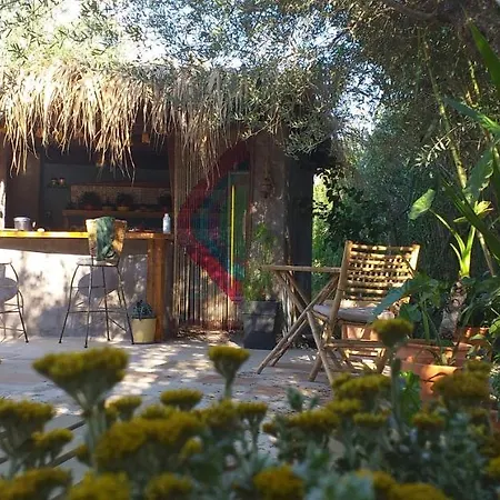Kavoulakos *