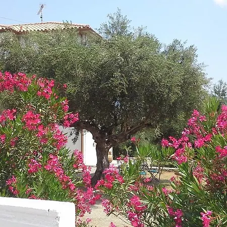 Kavoulakos *