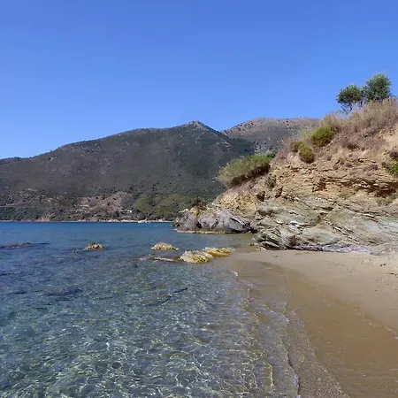 Kavoulakos