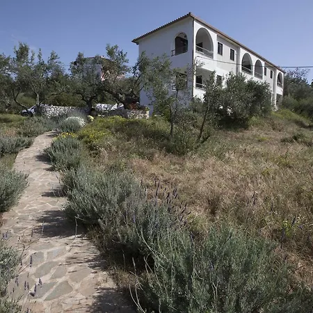 Kavoulakos * Skoutárion