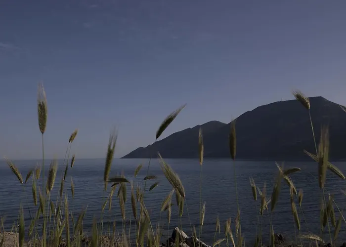 Kavoulakos Skoutárion